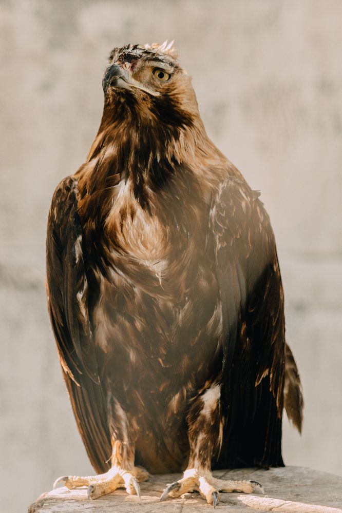 Photograph by Андрей Ероха