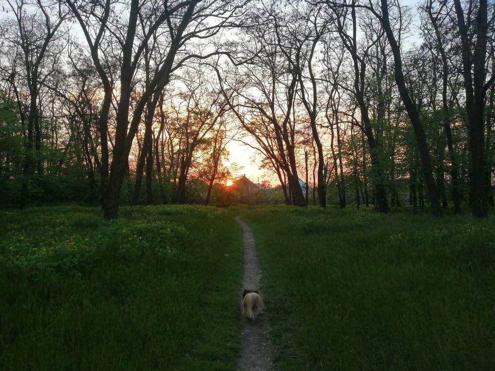 Photo #5570887