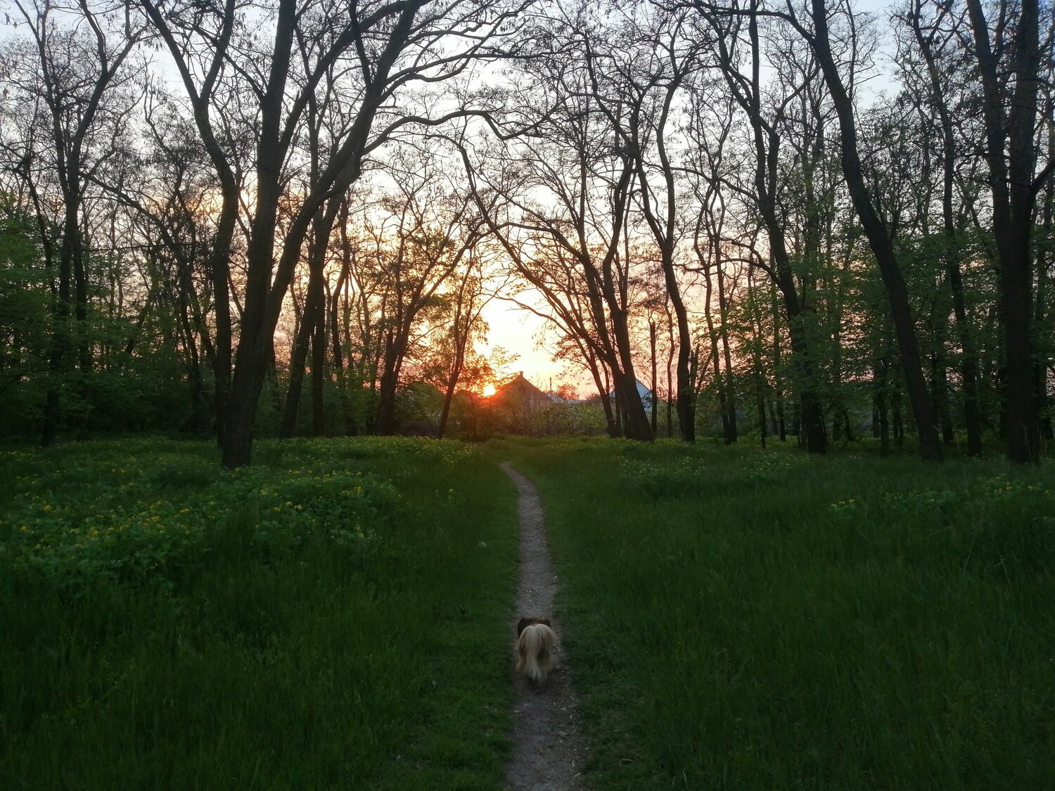Photo #5570887