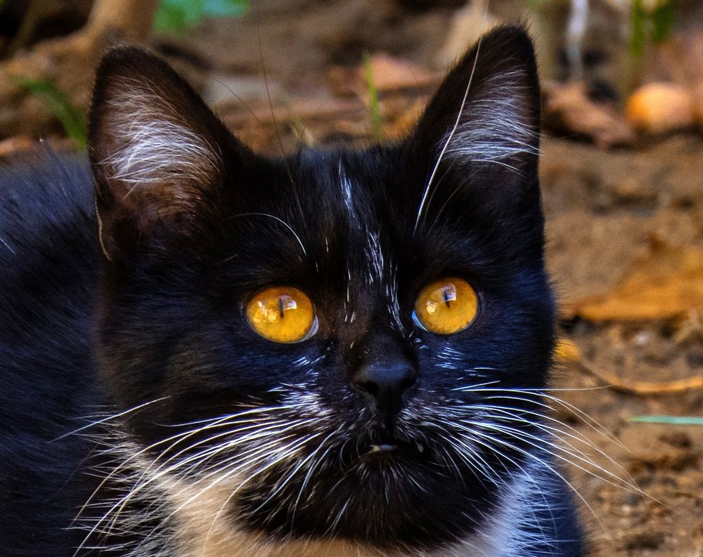 Photograph by Bahrami Ashkan