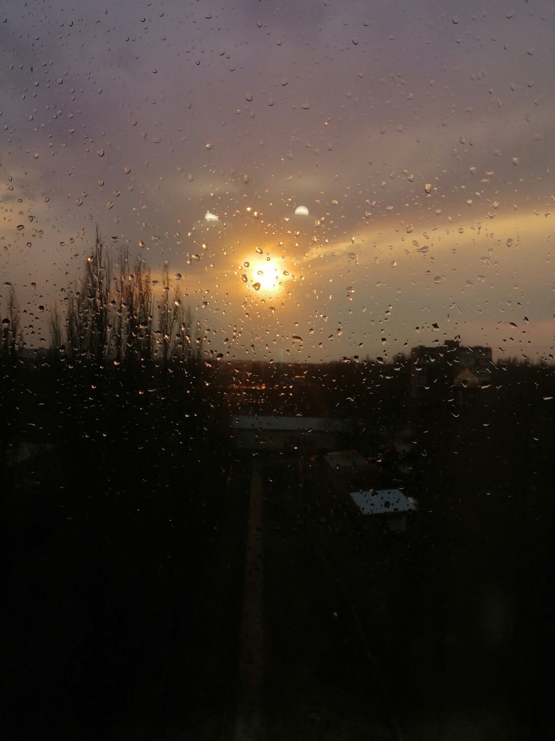 Photo #5570901