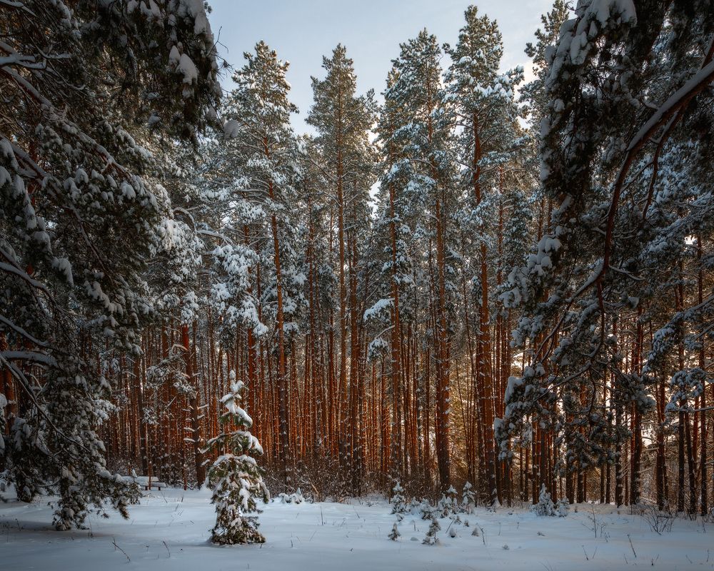 Photograph by Сергеев Сергей