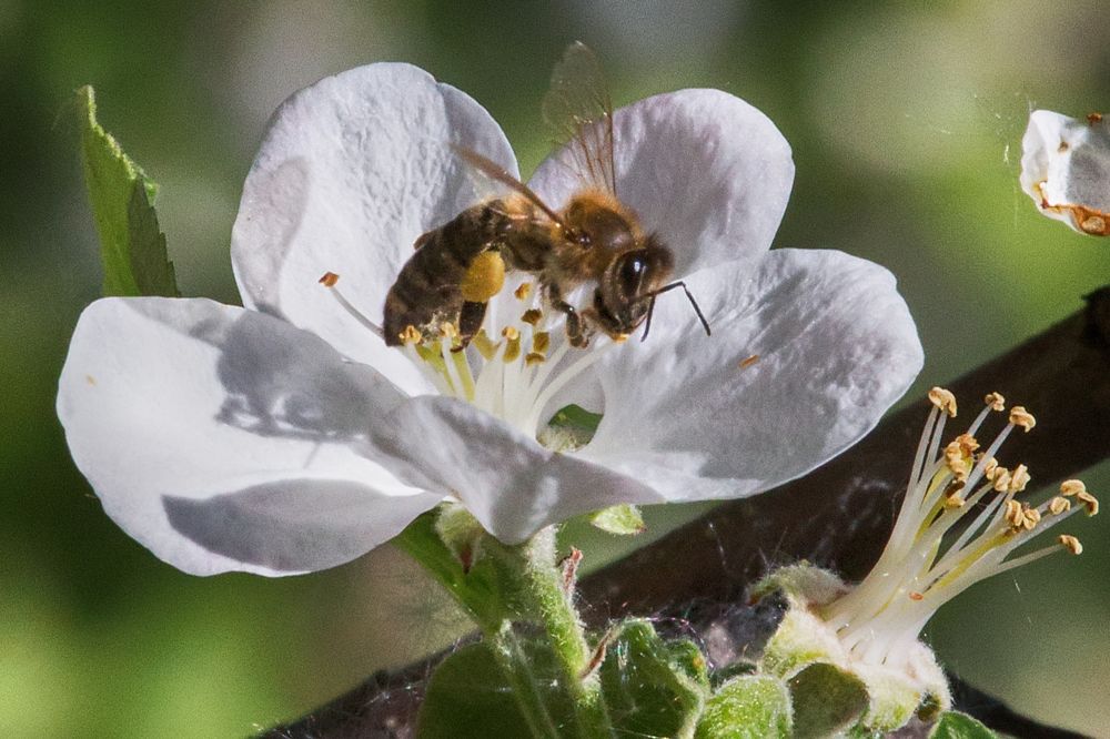 Photograph by Andrey Belov