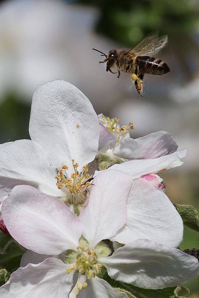 Photograph by Andrey Belov