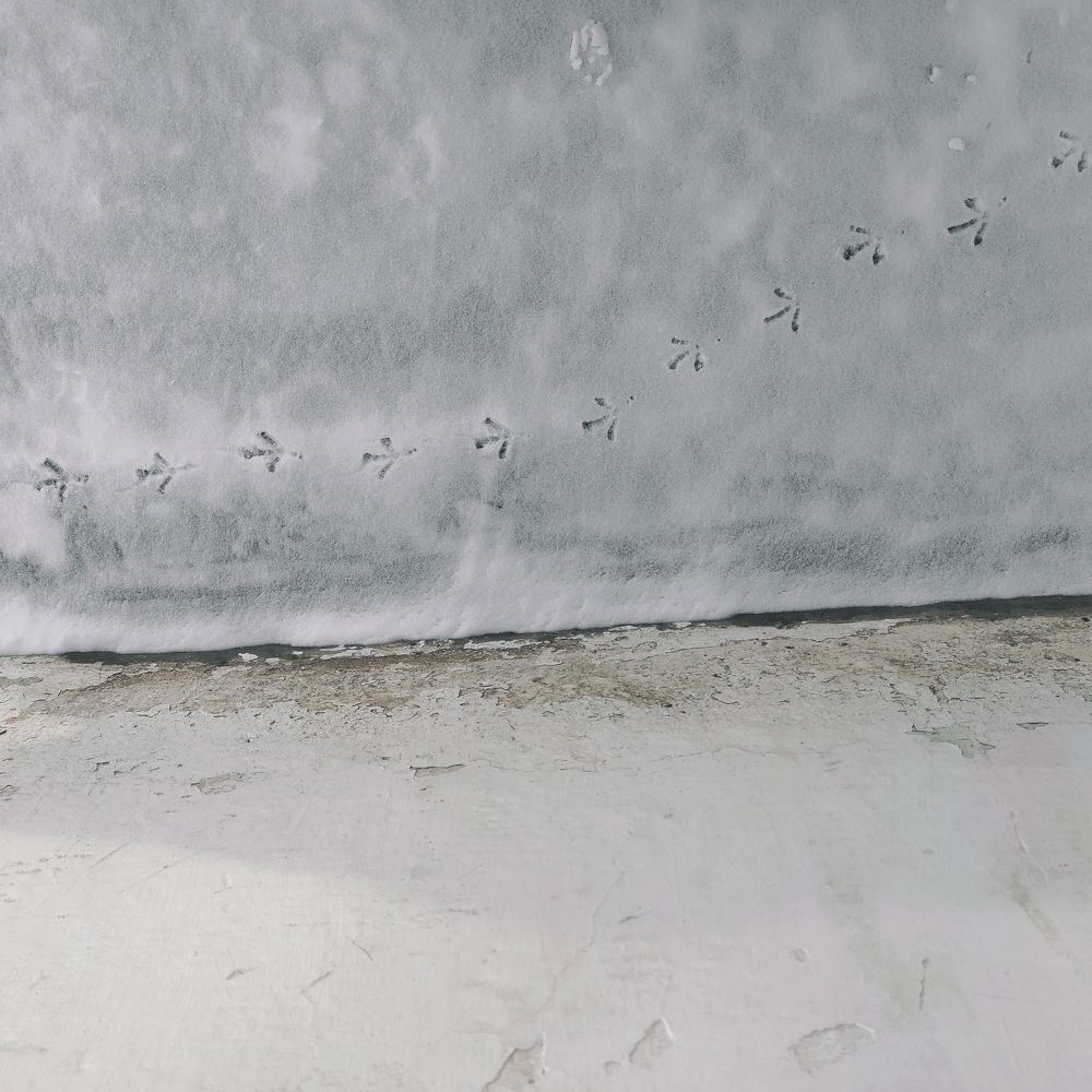 Photograph by Ирина Саттарова