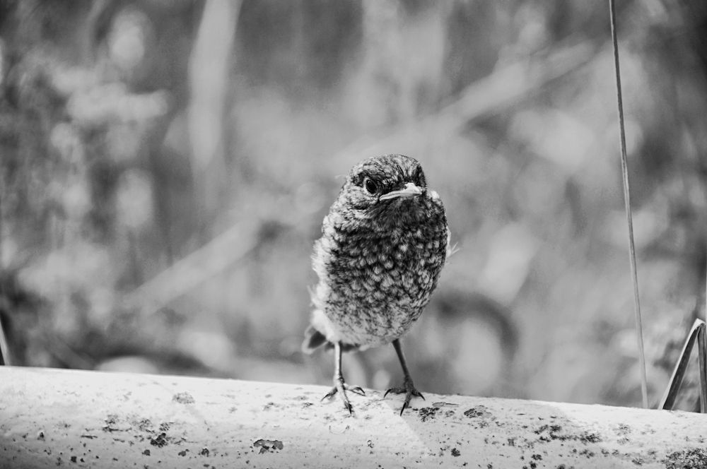 Photograph by Александр Дурасов