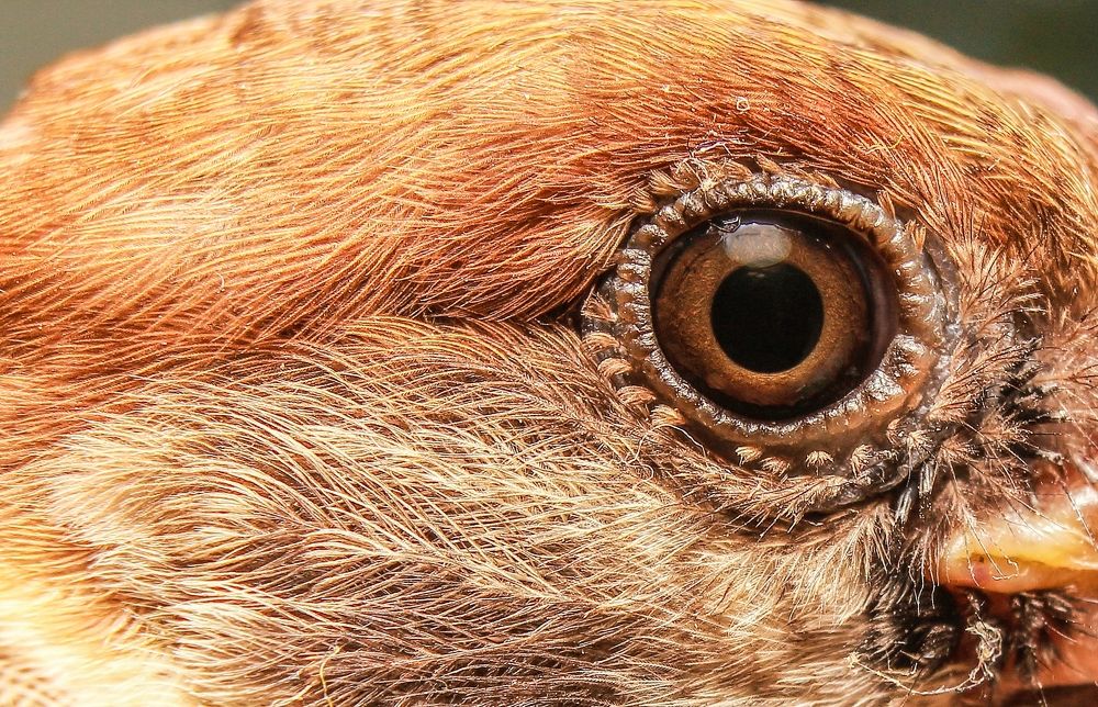 Photograph by Yusuf Buchari