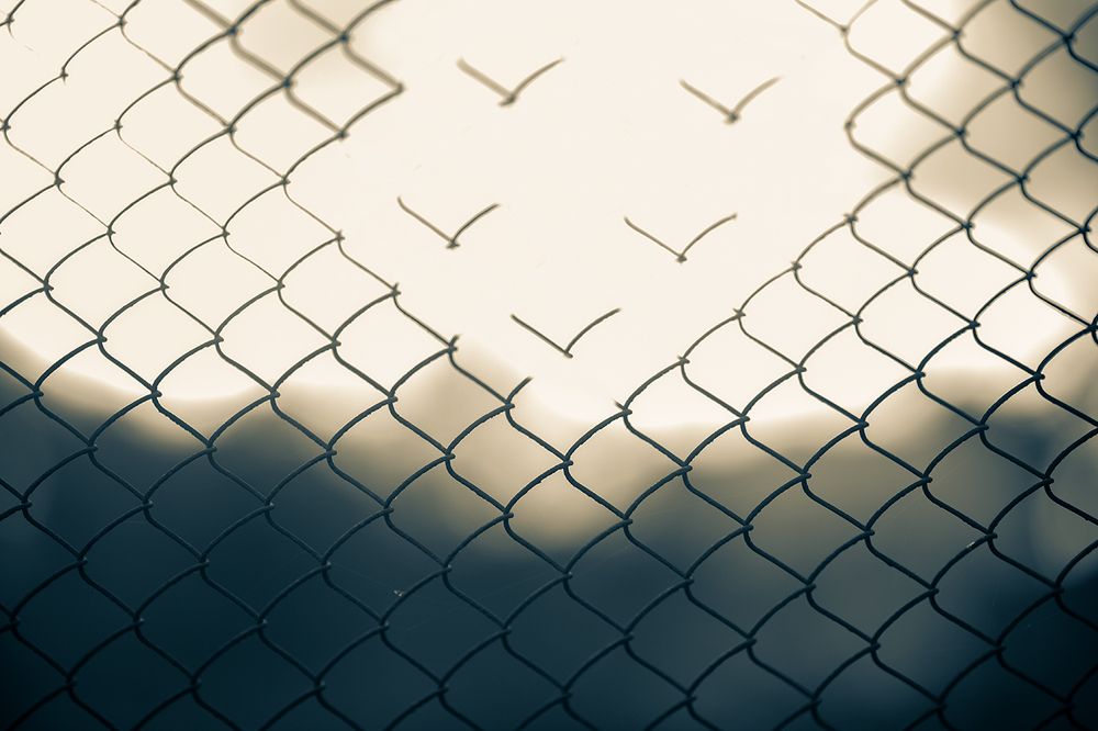 Фотография автора Владимир Щербина