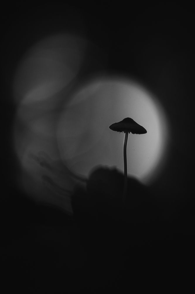 Light in the darkness