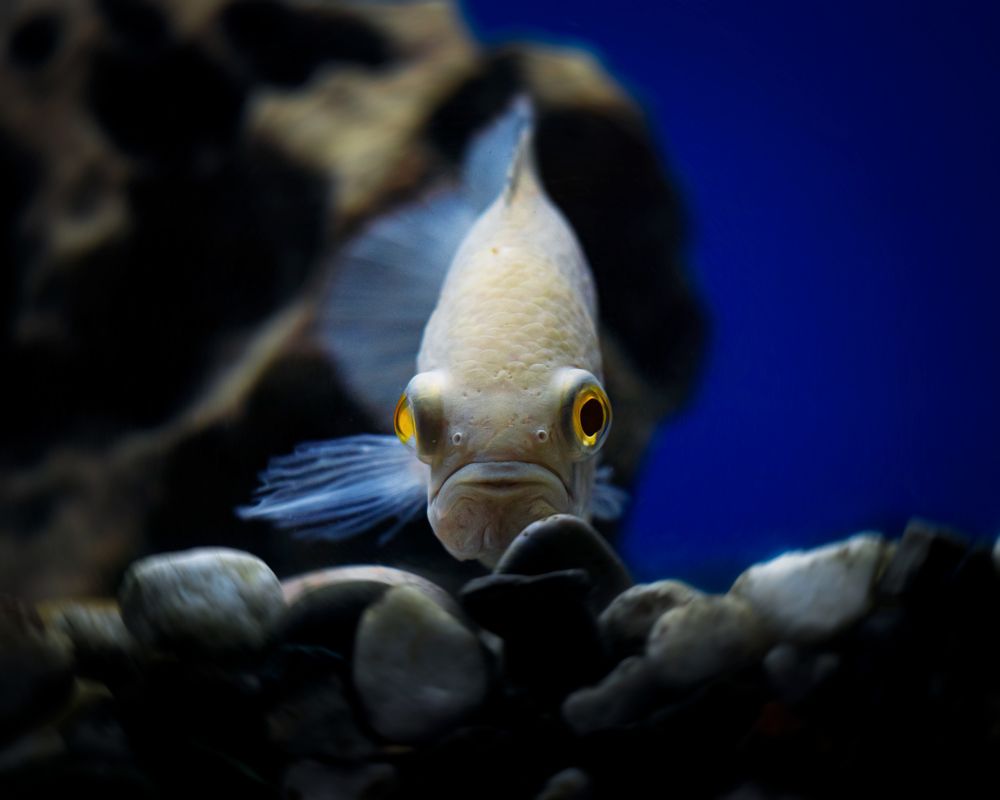 Photograph by iman hafezkhan