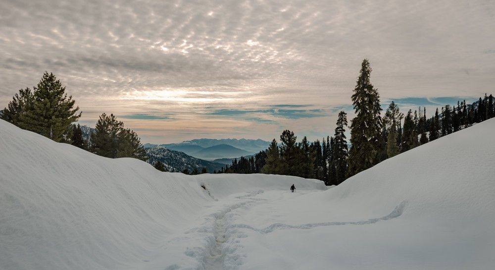 Photograph by Ahmad Bilal Cheema