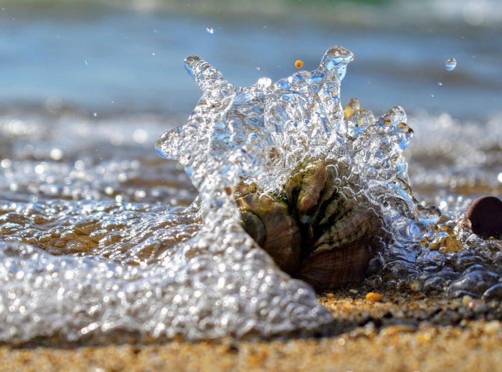 Photograph by Екатерина Гордеева