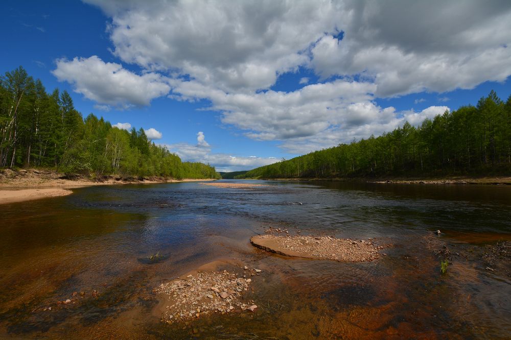 Лето на Тынде