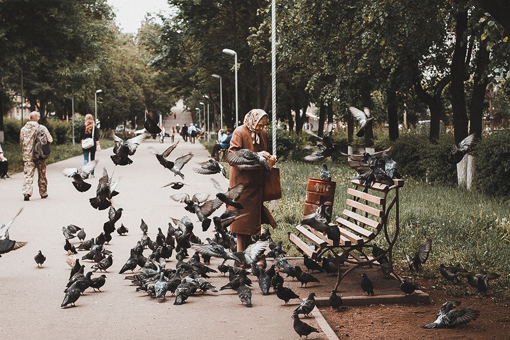 Фотография автора Тема Цезарь