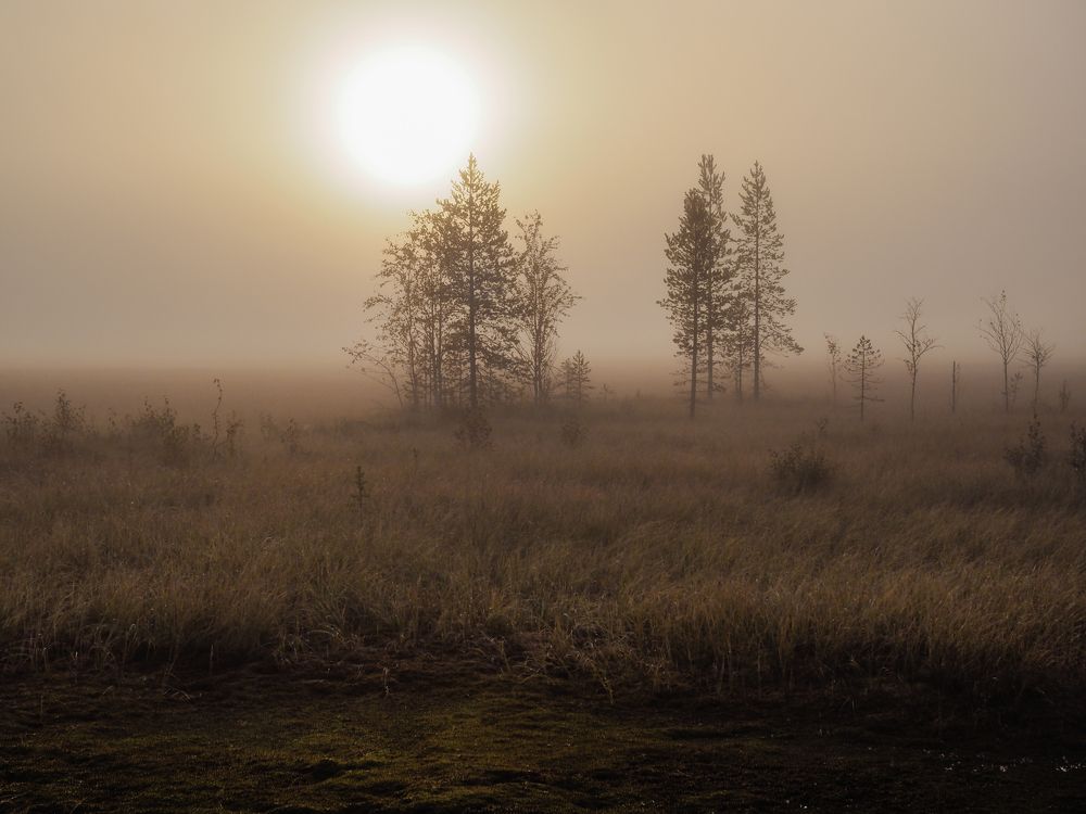 Сентябрьский туман. Приполярье.