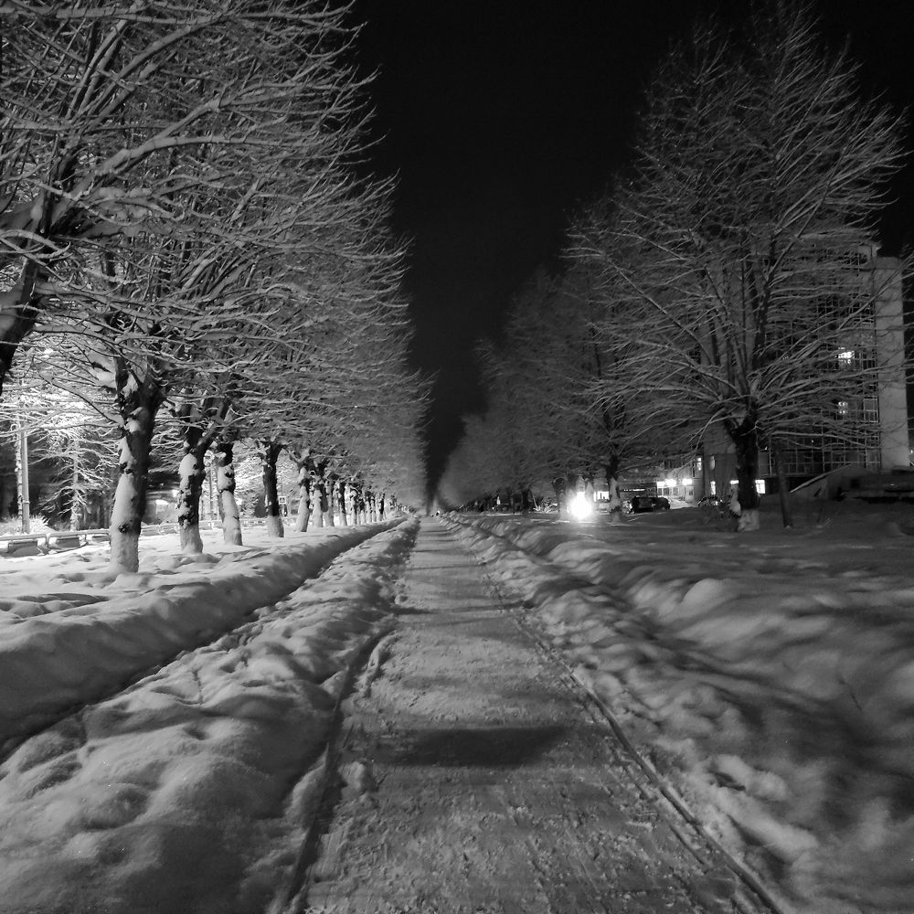 Photograph by Ирина Саттарова