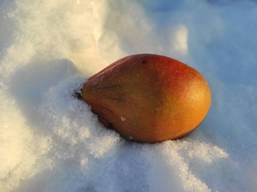 Photograph by Ирина Саттарова