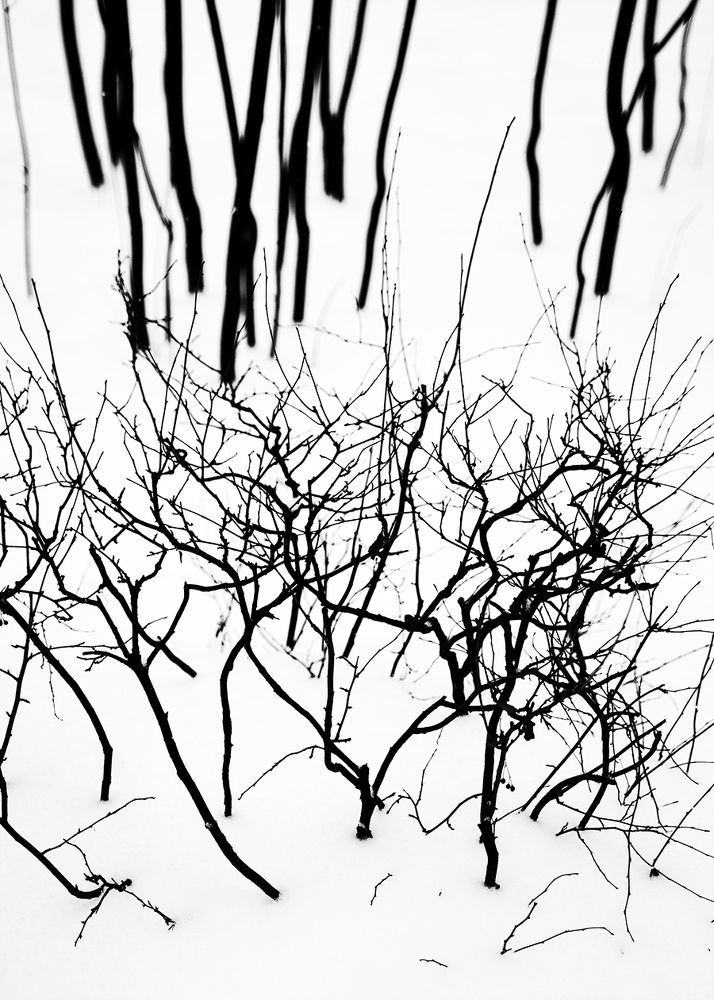 Фотография автора Василий Рябовол