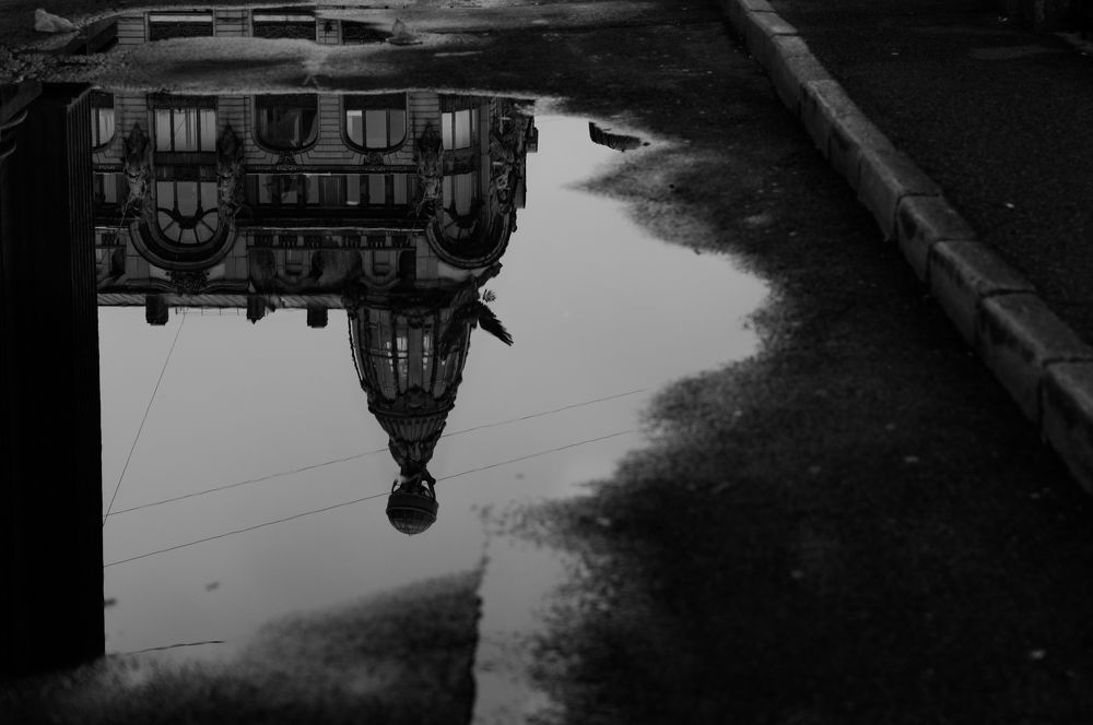 Photograph by Виктор Савельев