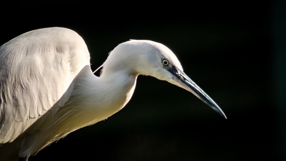 Фотография автора Владимир Брызгунов