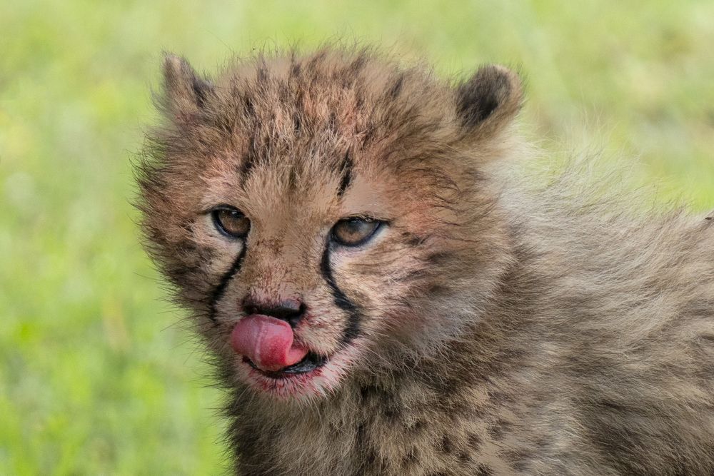 Photograph by EELIN Chan