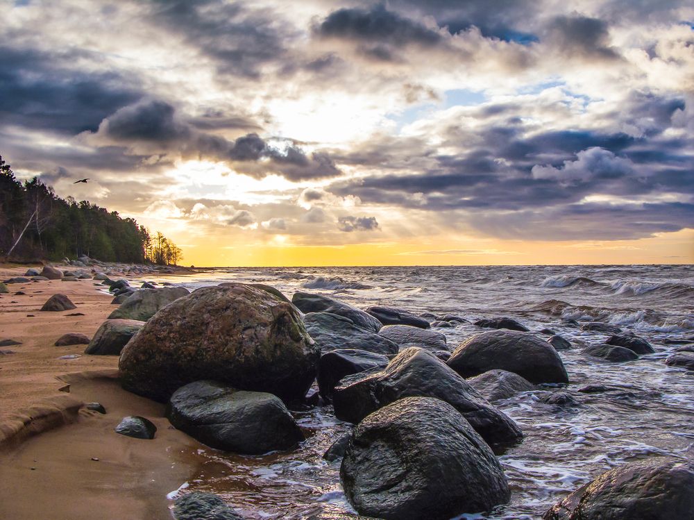 Морское великолепие / Sea Splendour
