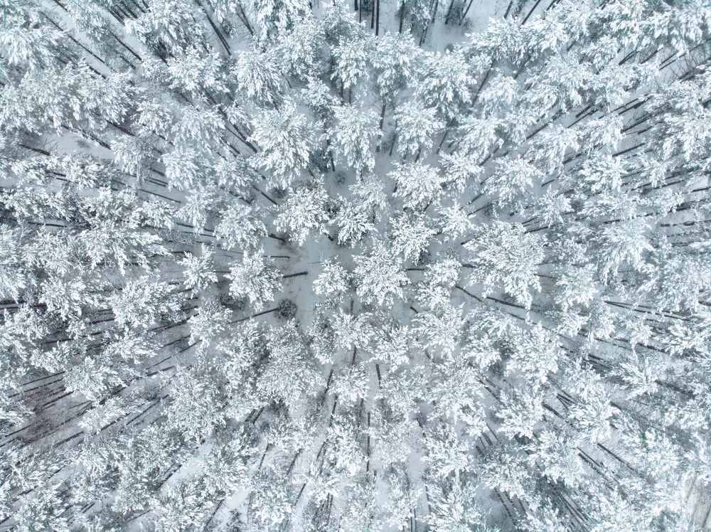 Photograph by Travel Azart