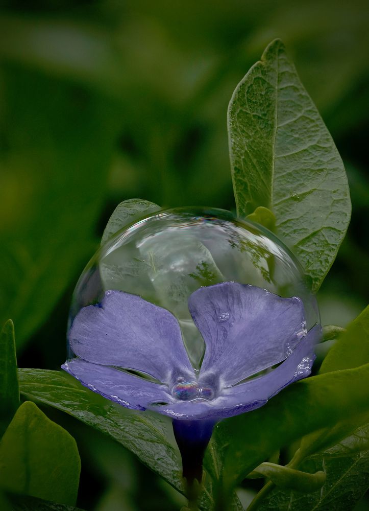 Photograph by Igor Ryzhov