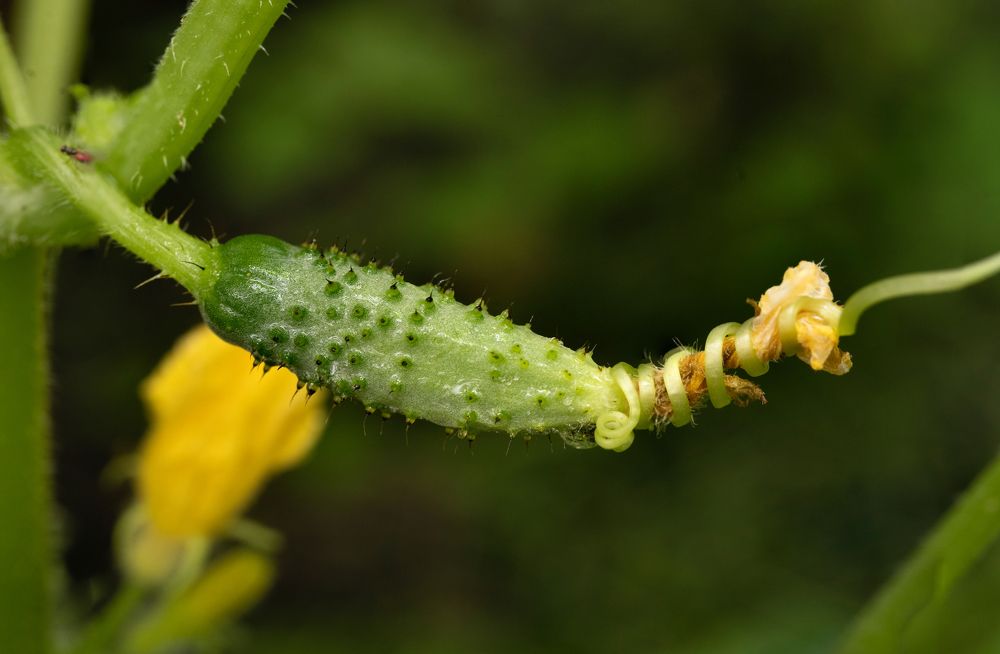 Photograph by Igor Ryzhov