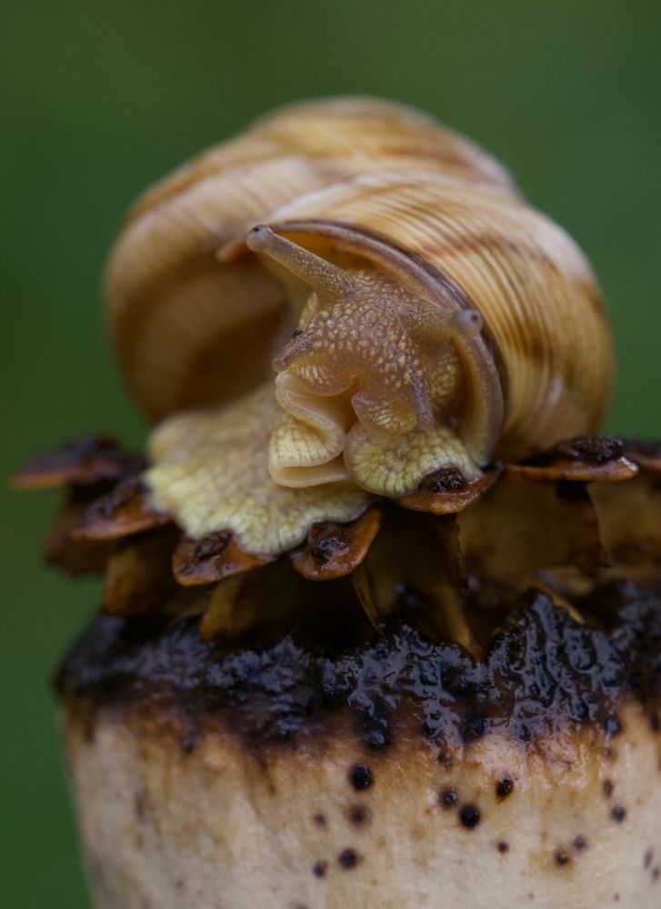 Photograph by Igor Ryzhov