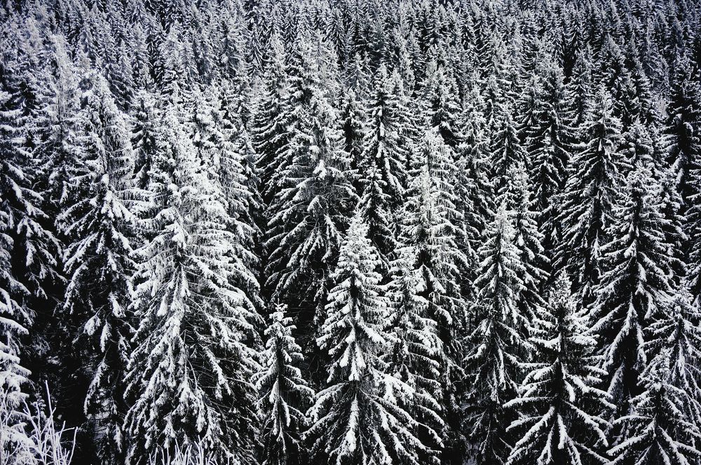 Photograph by Андрей Фёдоров