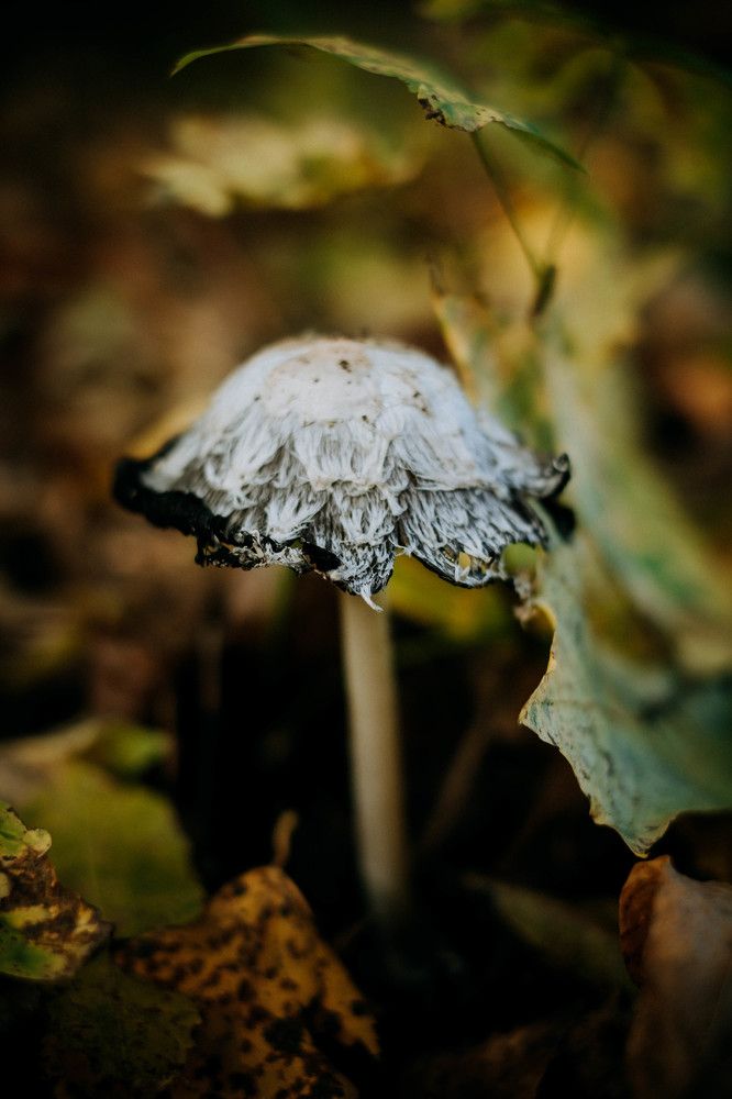 Photograph by Tatiana Potapenko