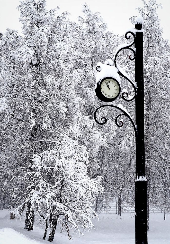 Photograph by Михаил Малец