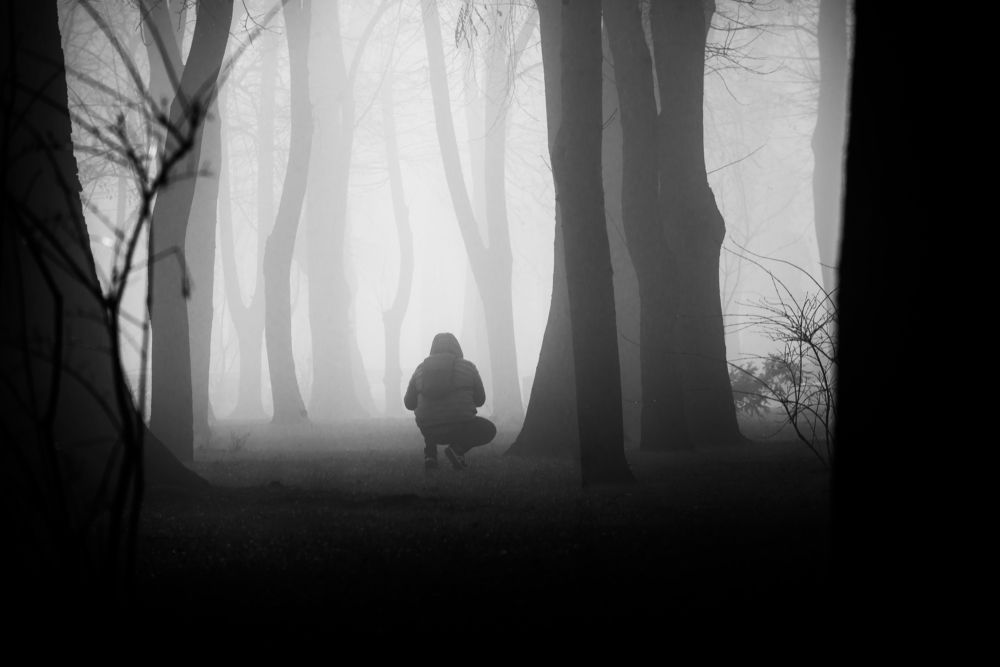 Misty morning in the park