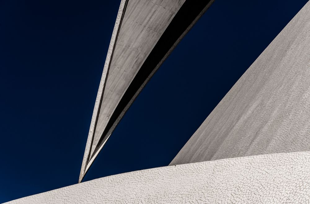 The Sting of Santa Cruz