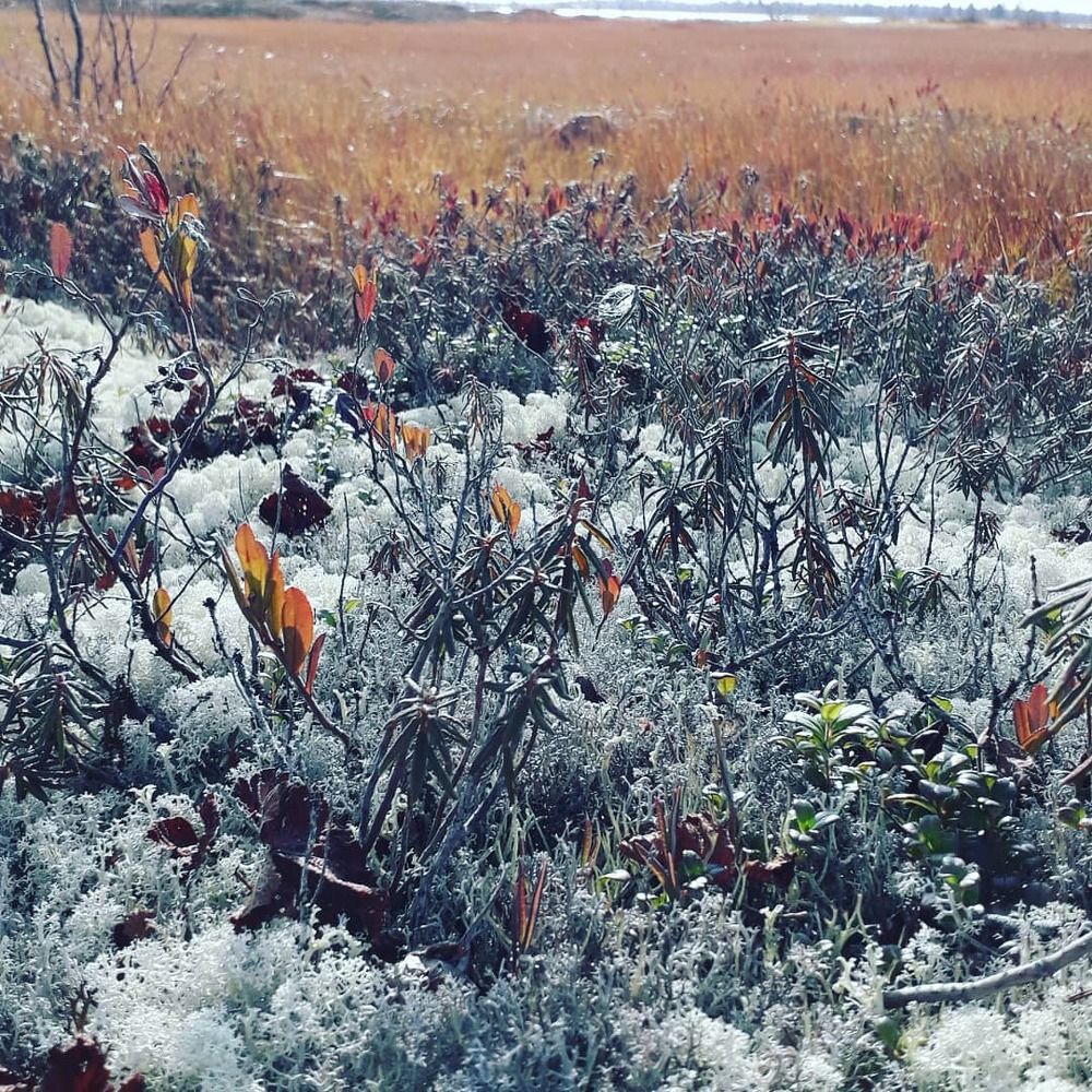 Photograph by Дмитрий Юдин