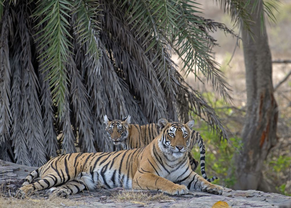 Photograph by Sandip Patil