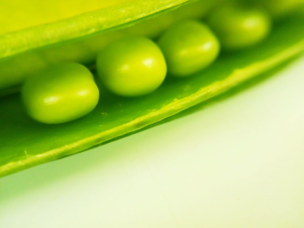 Photograph by Kapil Singh