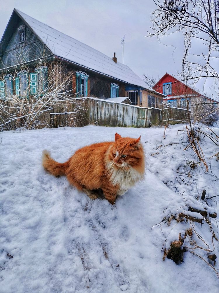 Photograph by Tatjana Doronda