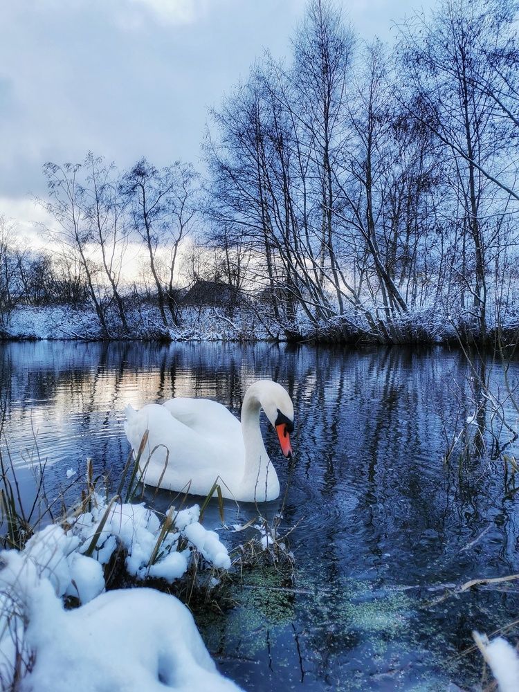 Photograph by Tatjana Doronda