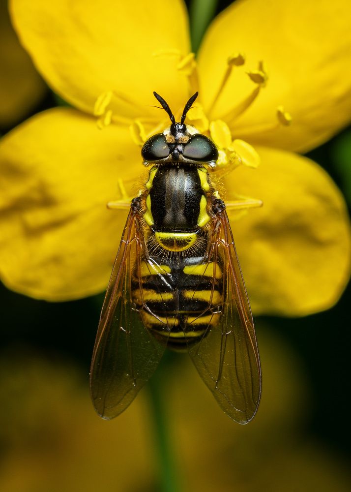 Photograph by Alexander Plaksin