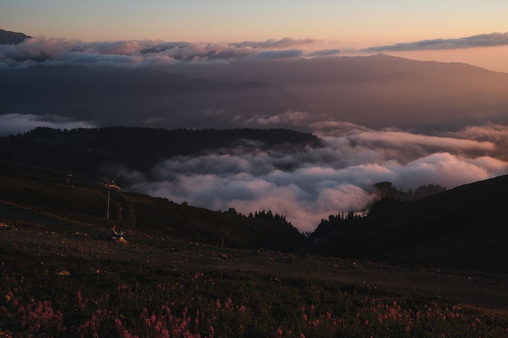 Photograph by Мария Давыдова