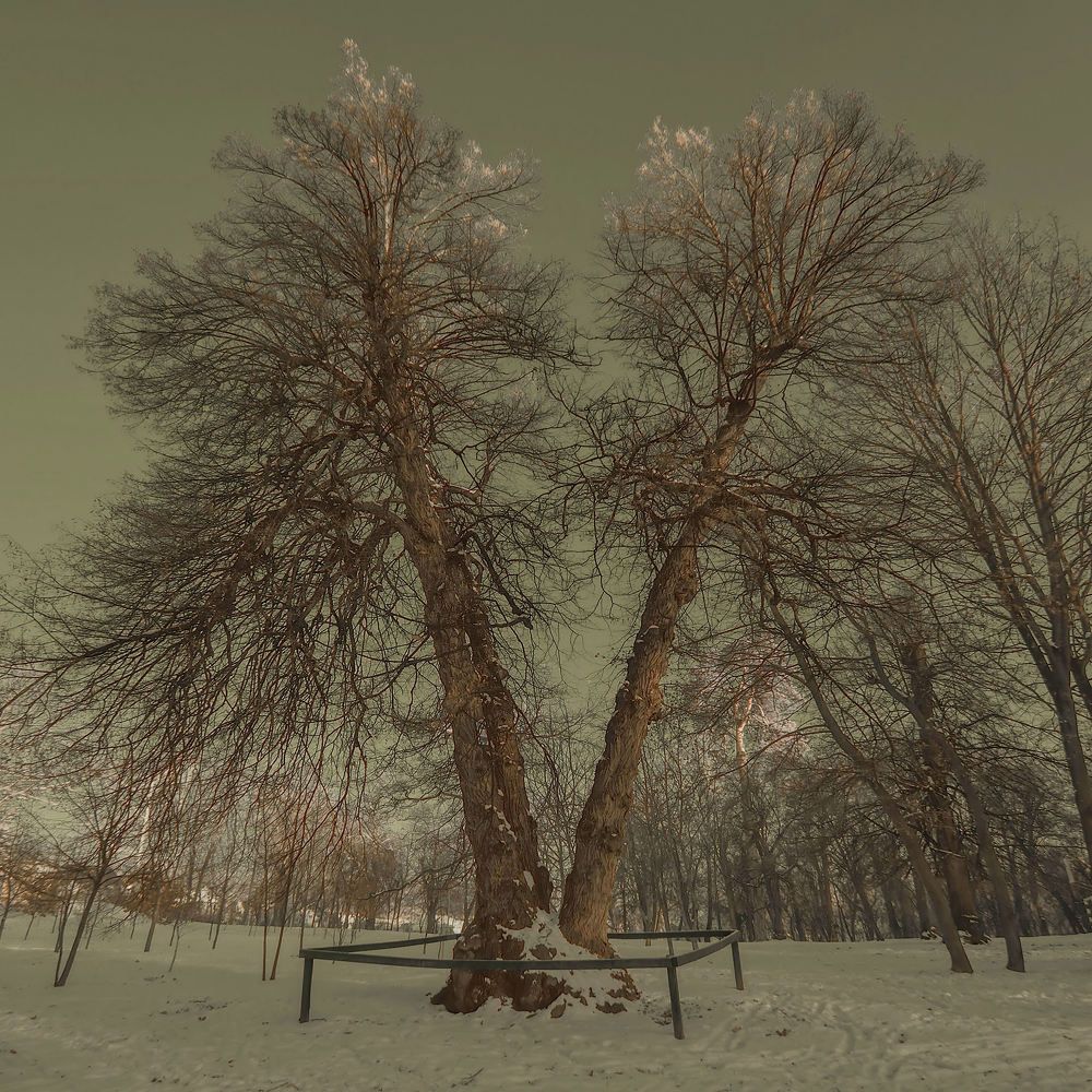 Photograph by ИгорьВл