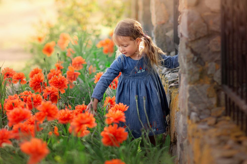 Photograph by Ольга Мищенко