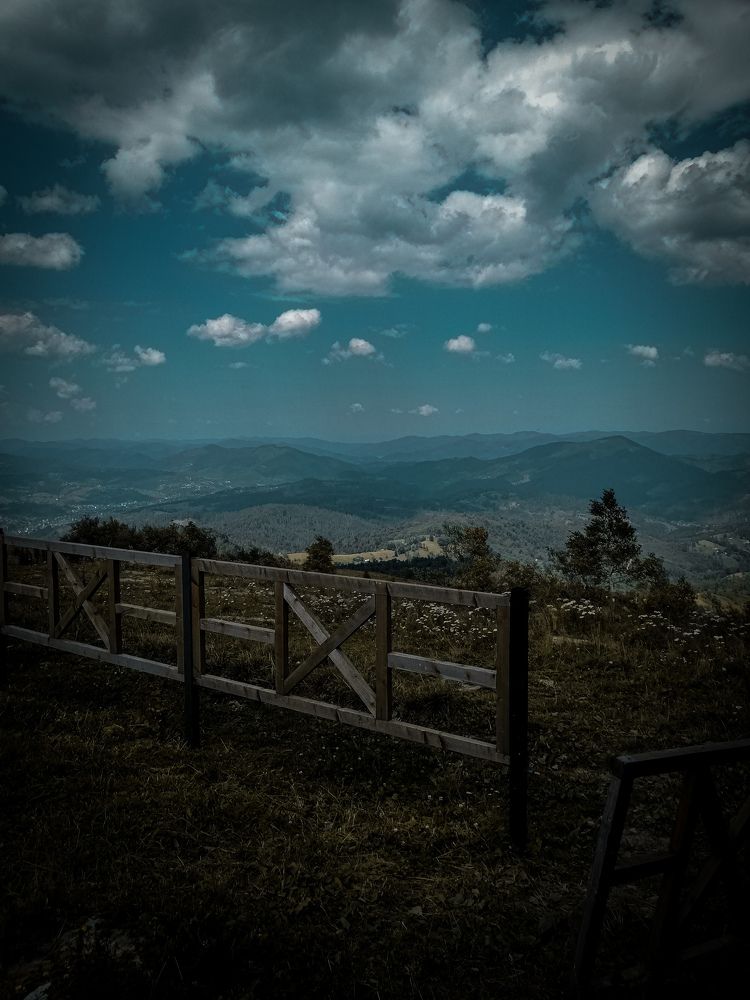 Photo #5572157
