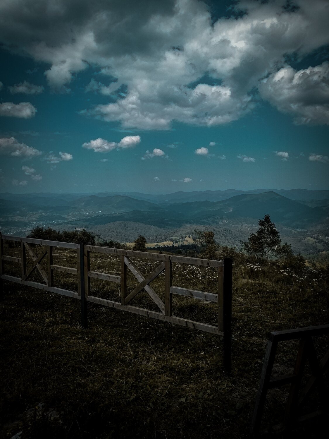 Photo #5572157