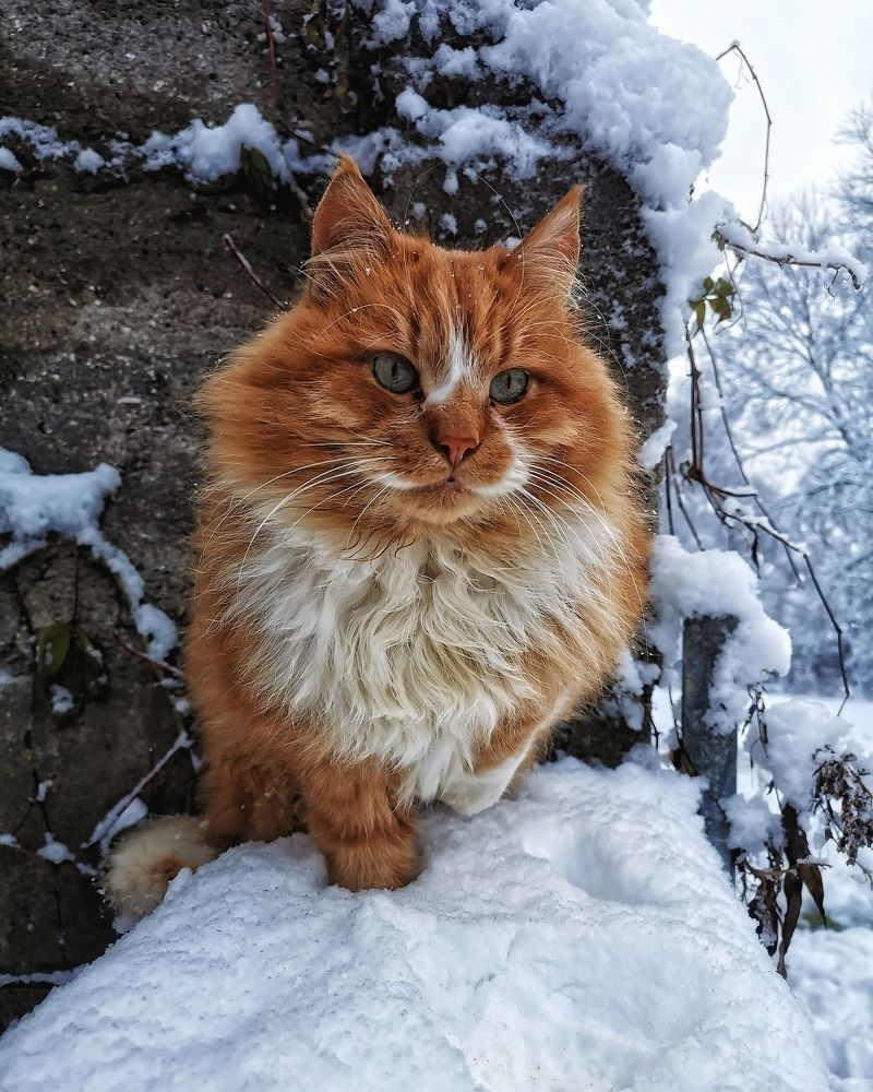 Photograph by Tatjana Doronda