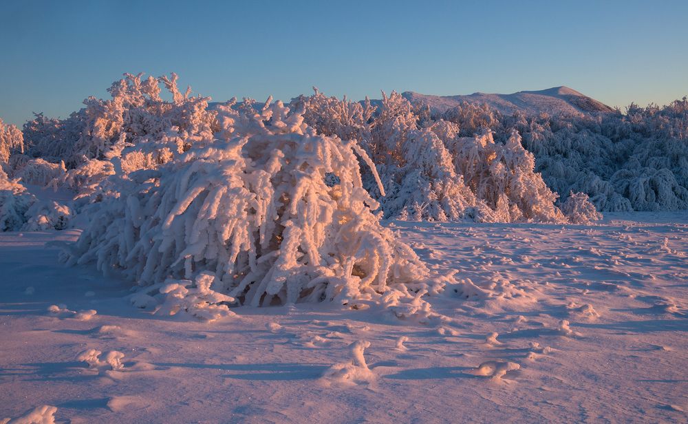 Photograph by Елена Ковригина