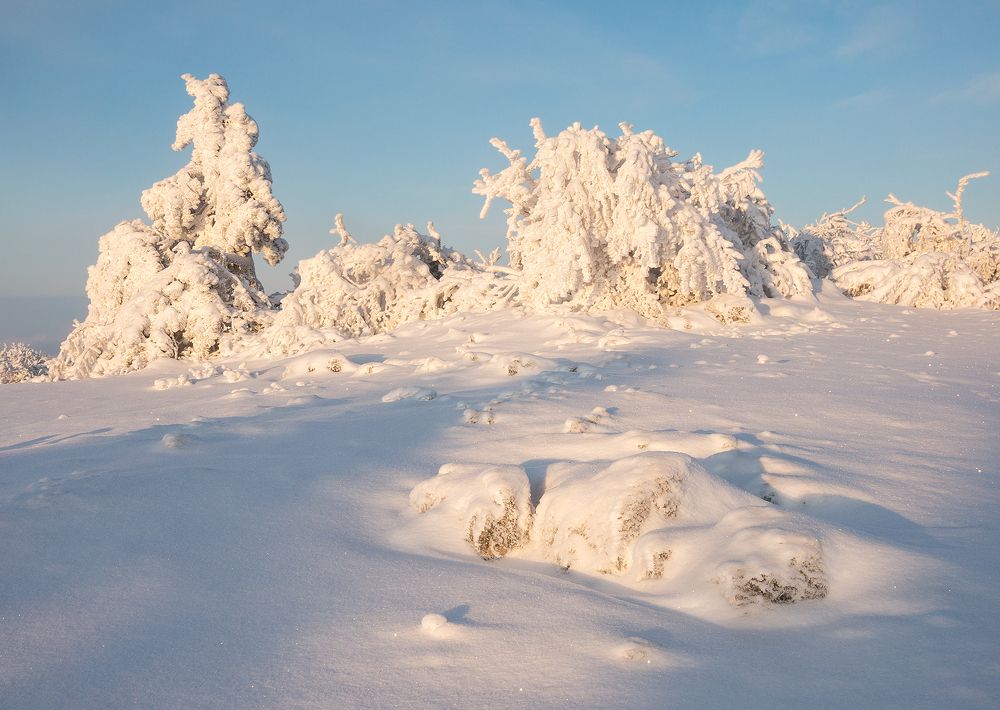 Photograph by Елена Ковригина