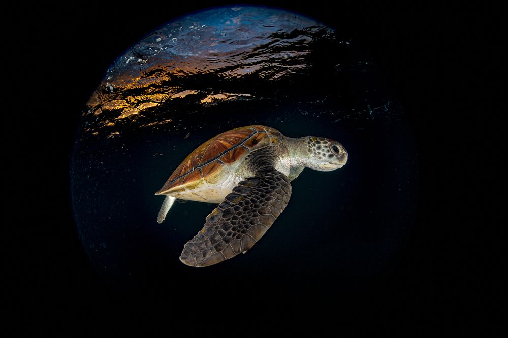 A sunset in Tenerife